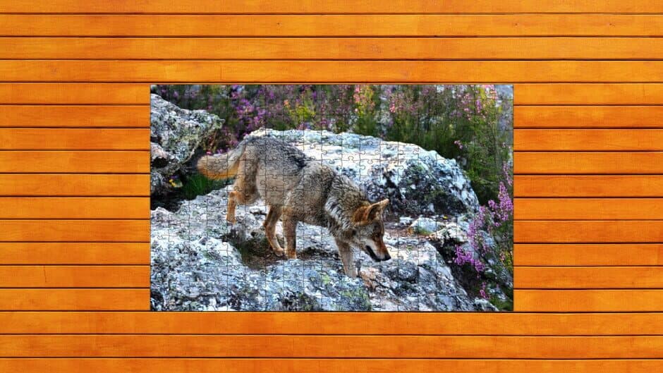 Скриншот 6 из Bear vs. Wolf Jigsaw Puzzle