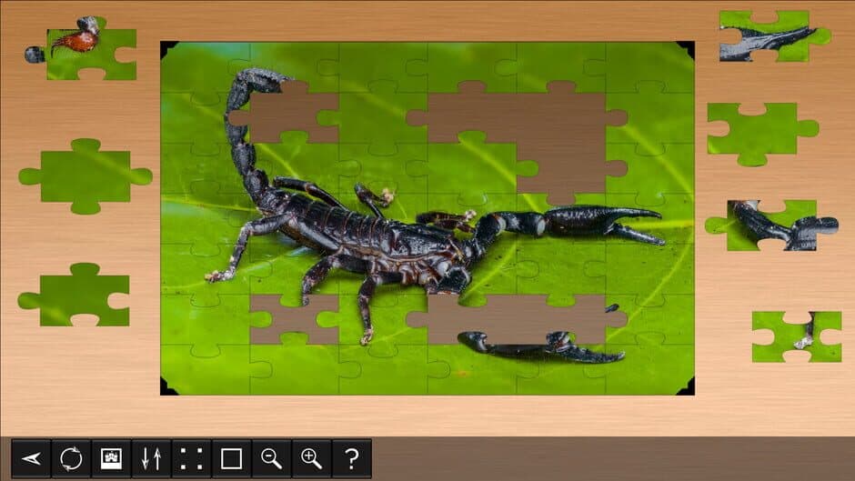 Скриншот 1 из Jigsaw Puzzle World: Arachnids