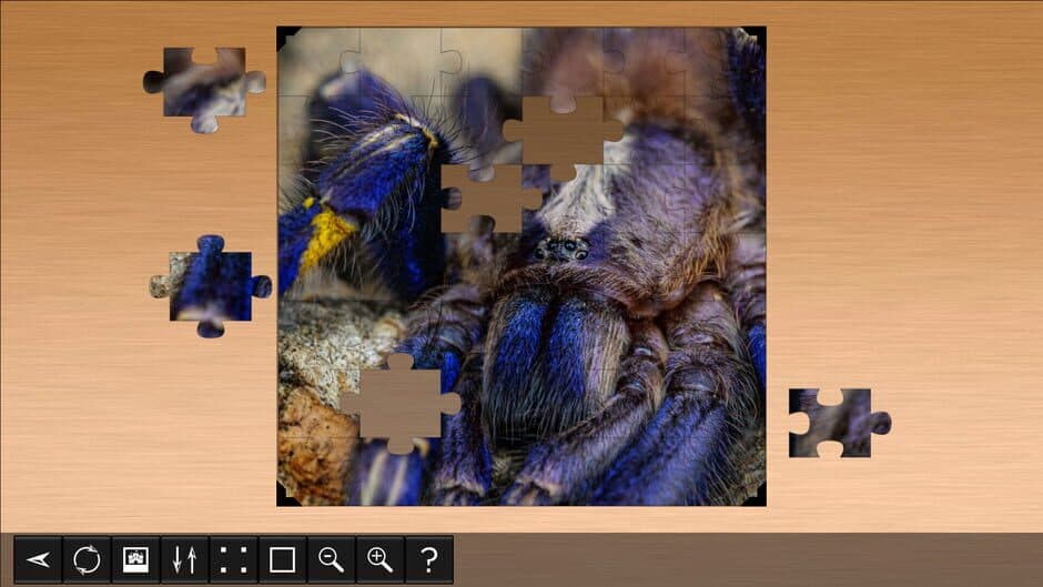 Скриншот 2 из Jigsaw Puzzle World: Arachnids