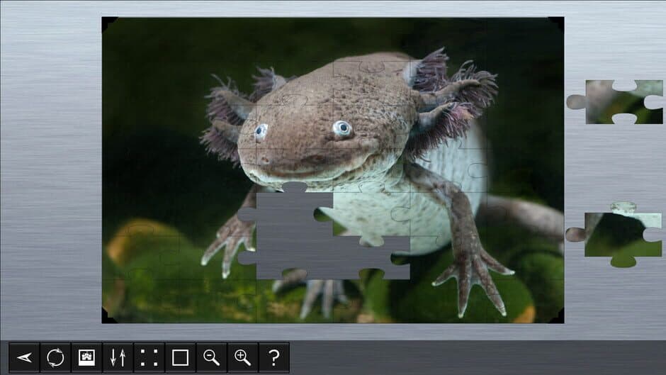 Скриншот 3 из Jigsaw Puzzle World: Amphibians