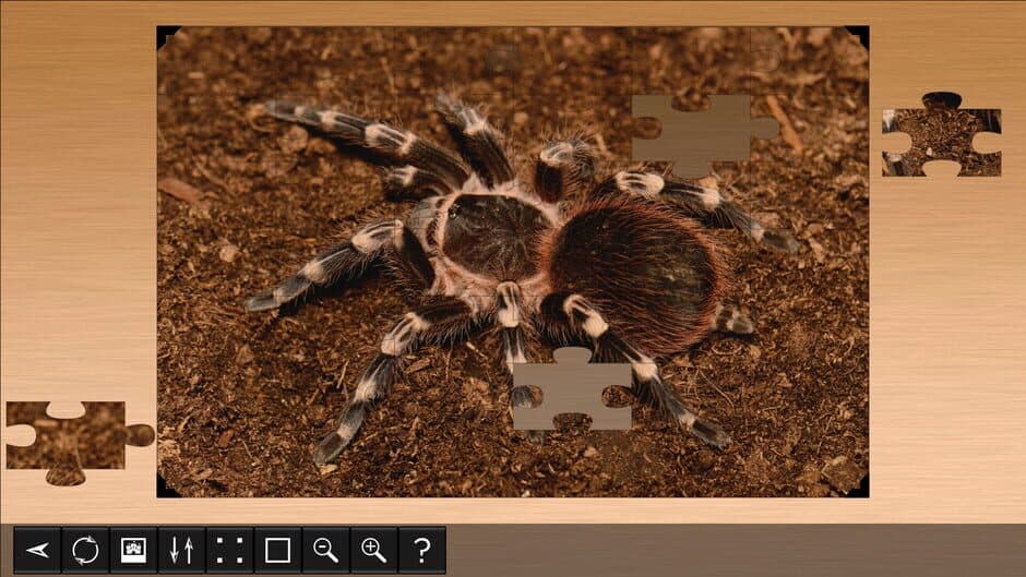 Скриншот 4 из Jigsaw Puzzle World: Arachnids