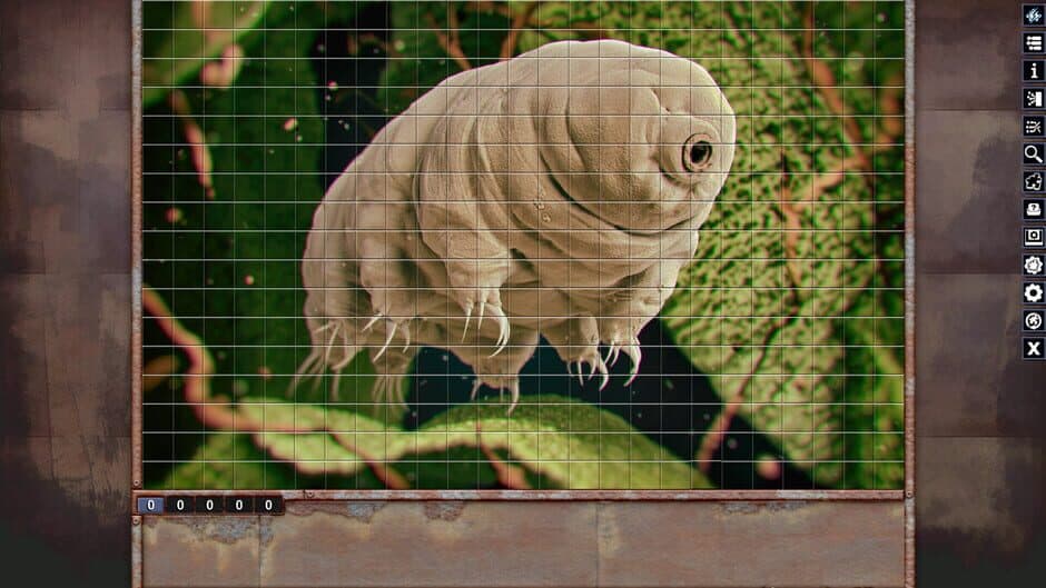 Скриншот 1 из Pixel Puzzles: Illustrations & Anime - Jigsaw Pack: Microorganisms