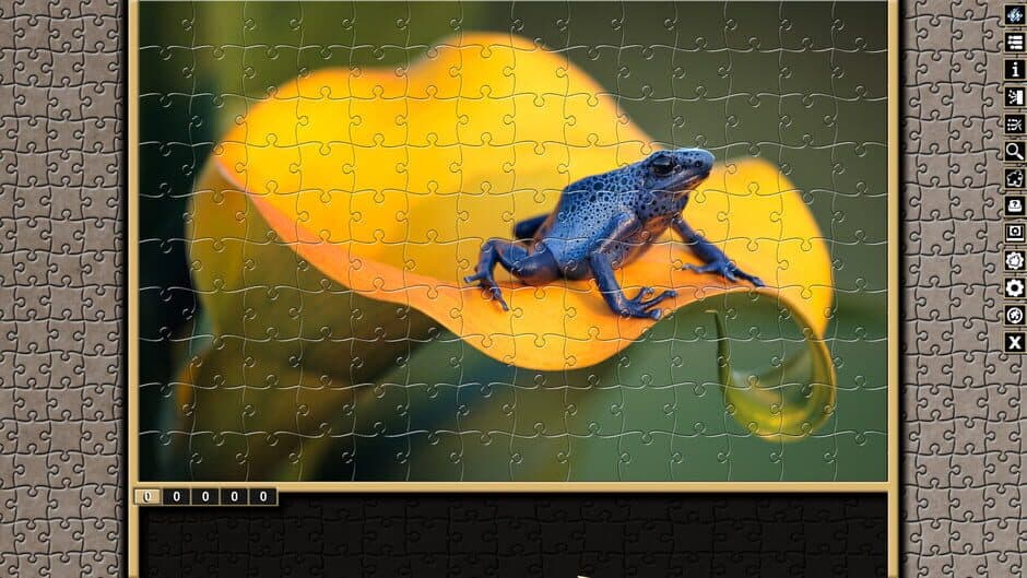 Скриншот 3 из Pixel Puzzles Traditional Jigsaws: Frogs