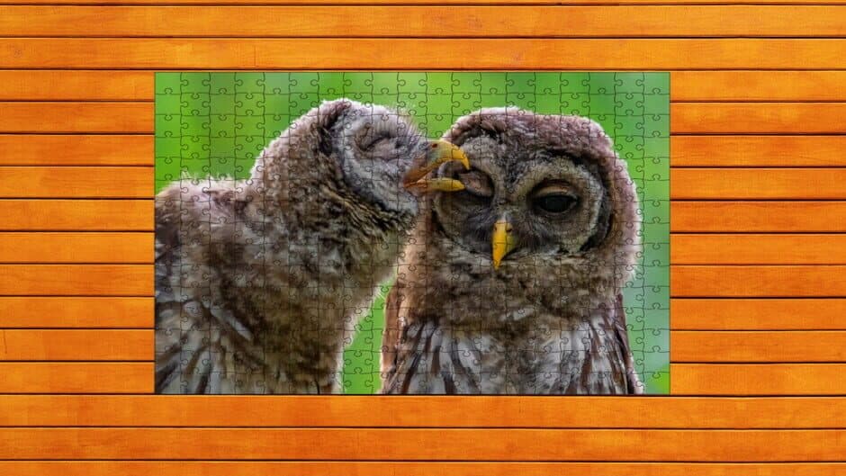 Скриншот 1 из Whispers of Wings Jigsaw Puzzles: Expansion Pack 4