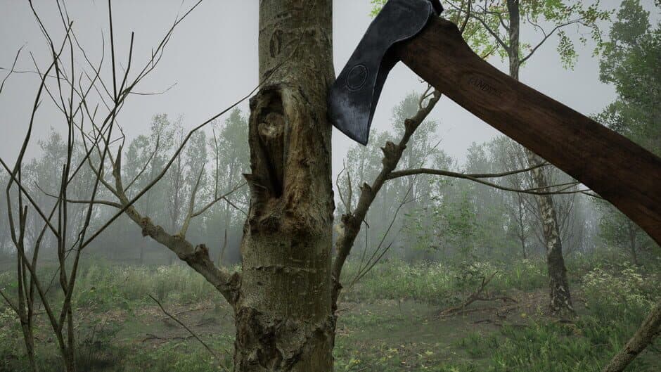 Скриншот 2 из Forest Doesn’t Care