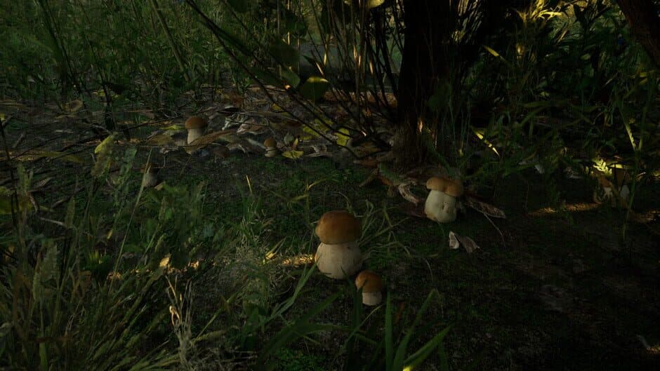 Скриншот 3 из Forest Doesn’t Care