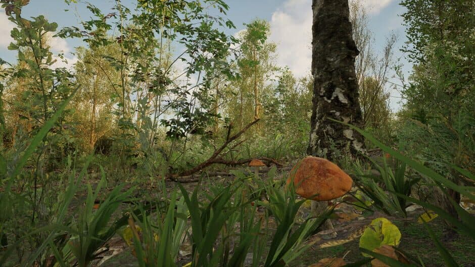 Скриншот 8 из Forest Doesn’t Care