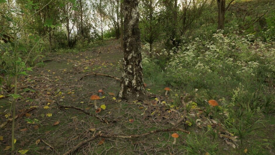 Скриншот 9 из Forest Doesn’t Care