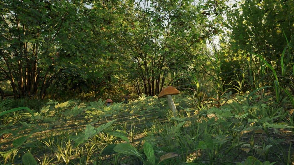 Скриншот 12 из Forest Doesn’t Care