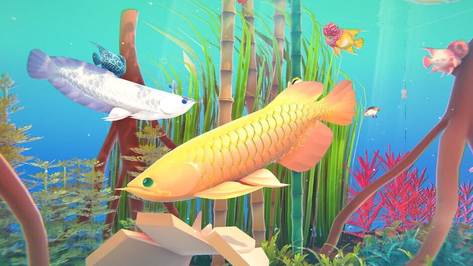 Скриншот 2 из Fishplay