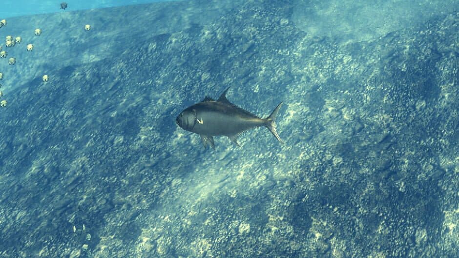 Скриншот 1 из Depth Hunter