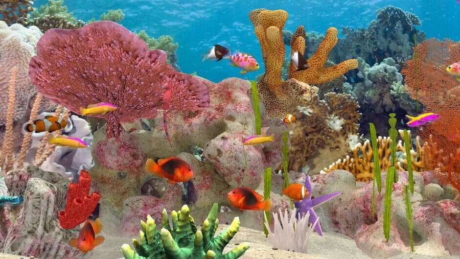 Скриншот 1 из Fish Farm 3