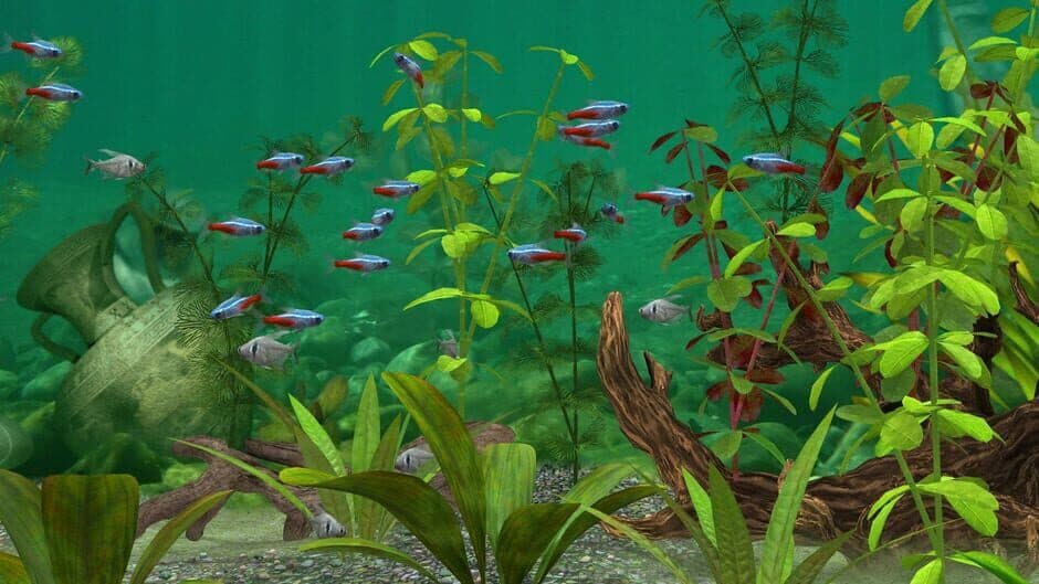 Скриншот 2 из Fish Farm 3