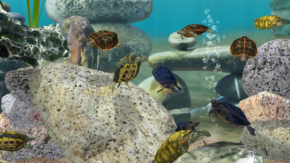 Скриншот 3 из Fish Farm 3