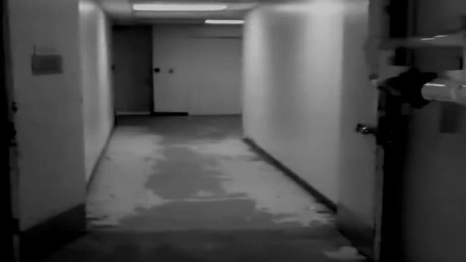 Скриншот 1 из Five Nights at Pikachu's