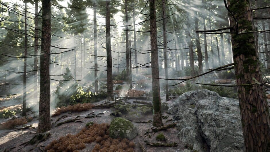 Скриншот 10 из Prologue: Go Wayback!