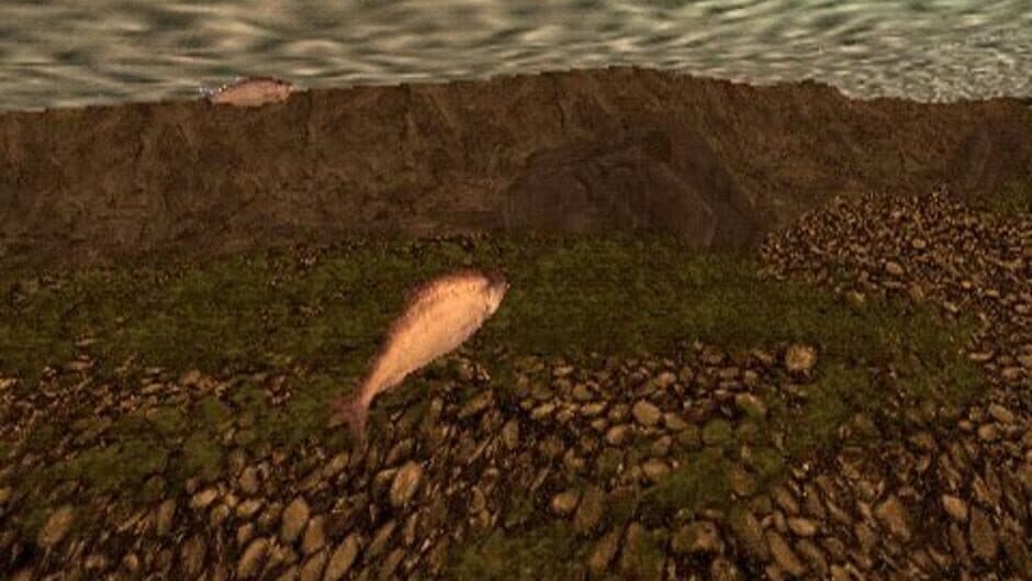 Скриншот 4 из Reel Fishing: The Great Outdoors