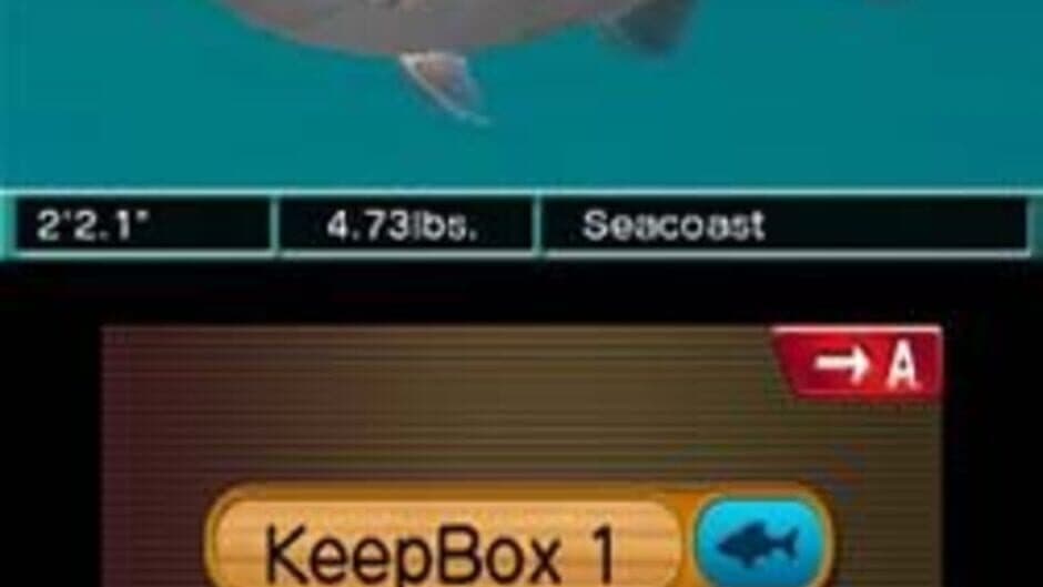 Скриншот 4 из Reel Fishing Paradise 3D
