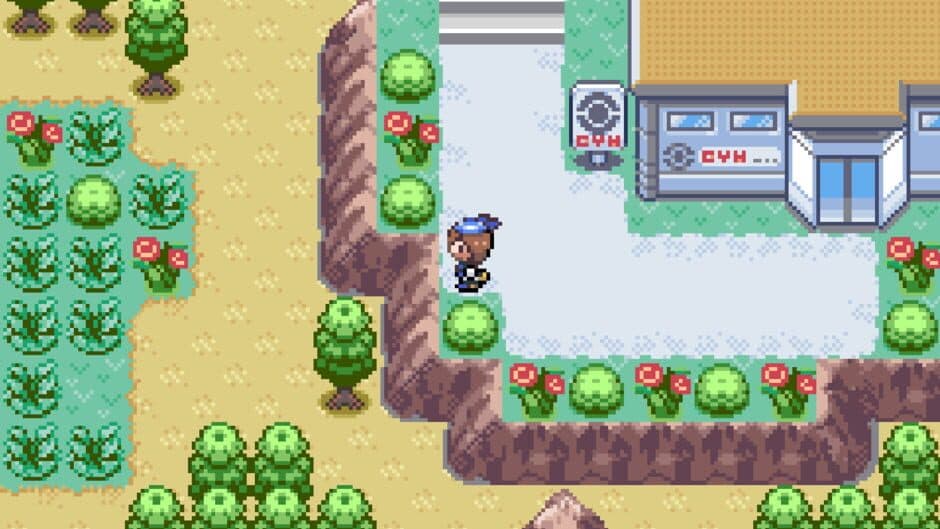 Скриншот 2 из Pokémon Royal Sapphire