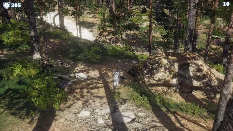 Скриншот 3 из Cazzarion: Raccoon Valley