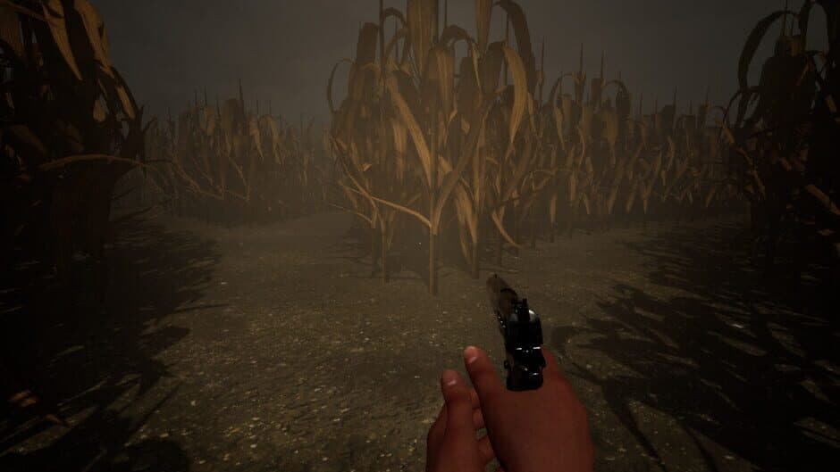 Скриншот 1 из The Corn Maze: Rebirth