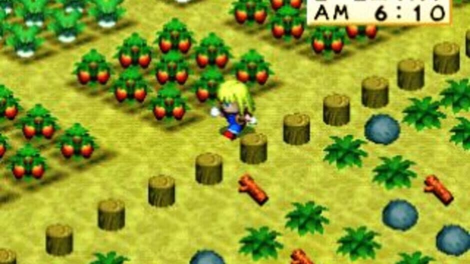 Скриншот 5 из Harvest Moon for Girl