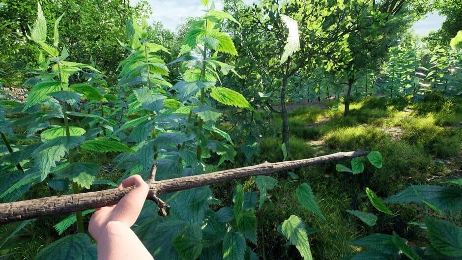 Скриншот 6 из Nettle Slasher