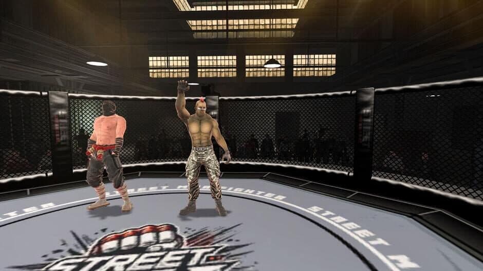 Скриншот 2 из Street Combat: Ultimate MMA Fighters