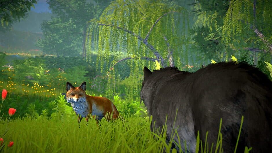 Скриншот 5 из Wolf Simulator 2025: Wild RPG Survival