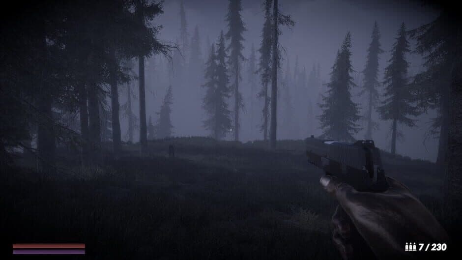 Скриншот 2 из Horror in the Forest