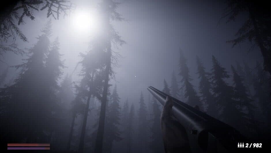 Скриншот 3 из Horror in the Forest