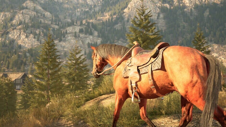 Скриншот 3 из Medieval Horse Simulator