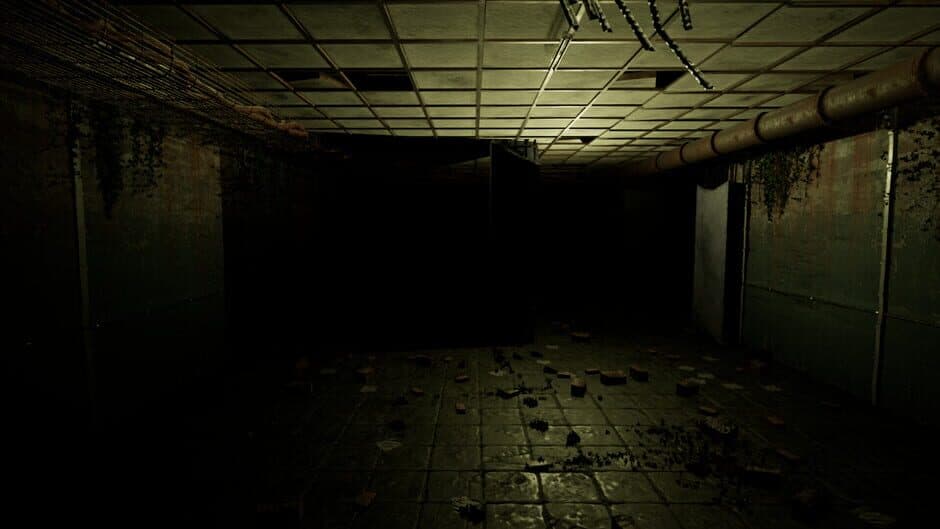 Скриншот 4 из Ruins Of Fear