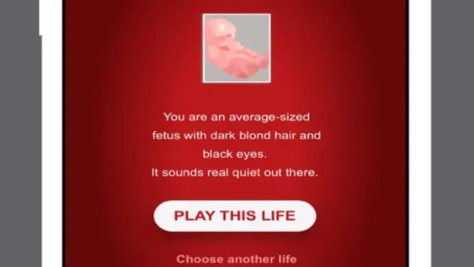 Скриншот 8 из Play this life