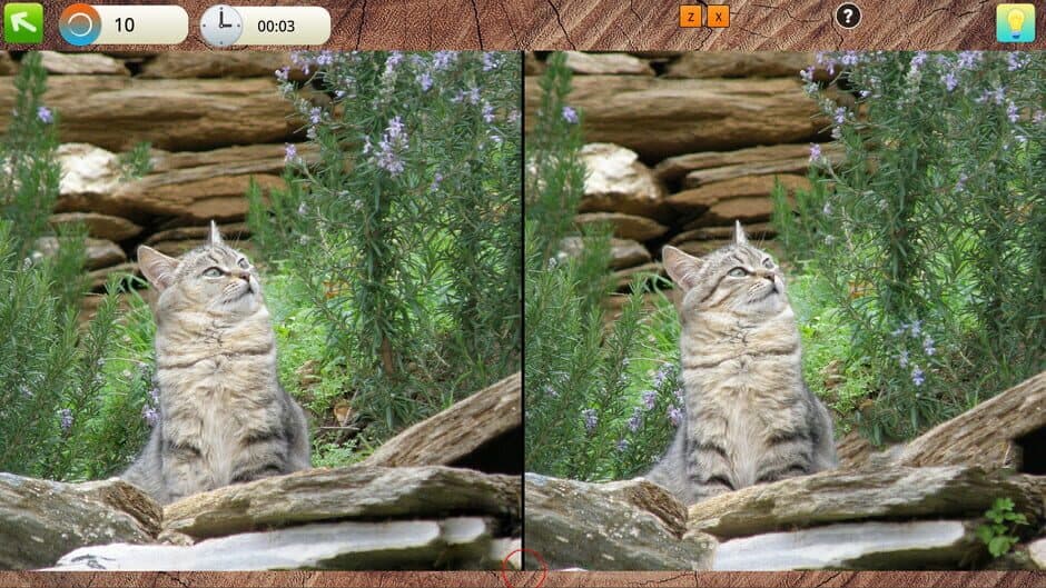 Скриншот 6 из Peaceful Gardens 2: Cute Cats