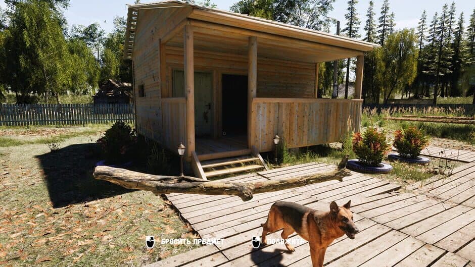 Скриншот 5 из Dacha