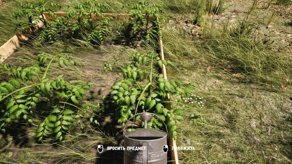 Скриншот 8 из Dacha