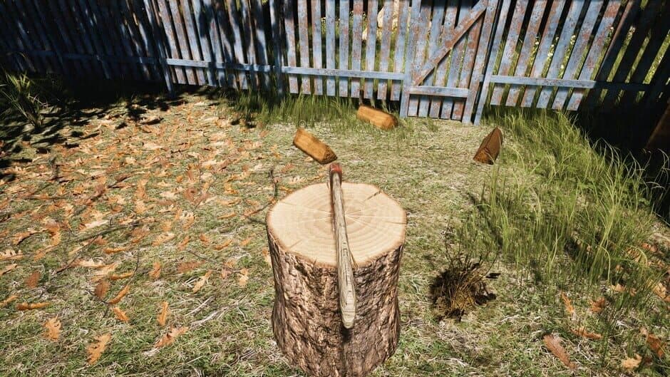 Скриншот 9 из Dacha