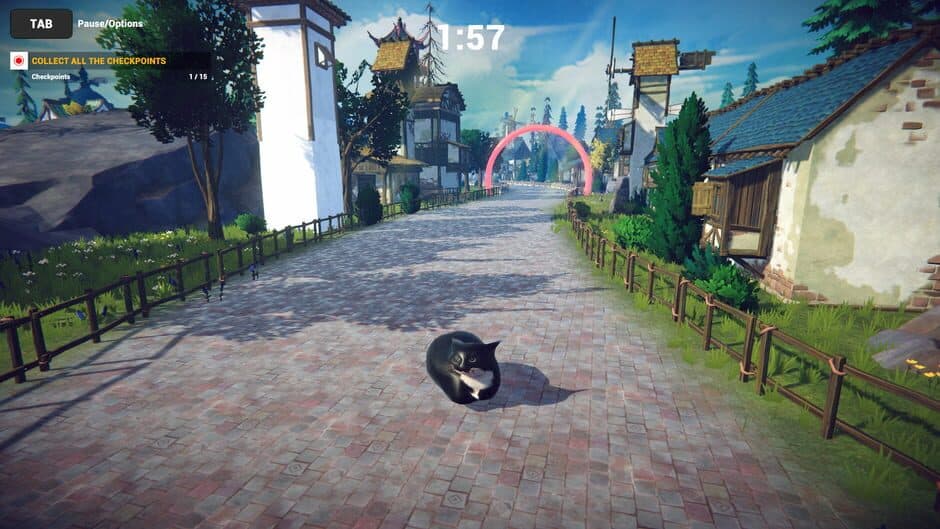 Скриншот 1 из Cat Karting
