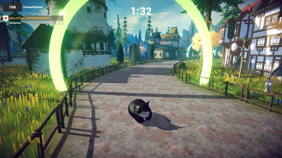 Скриншот 8 из Cat Karting