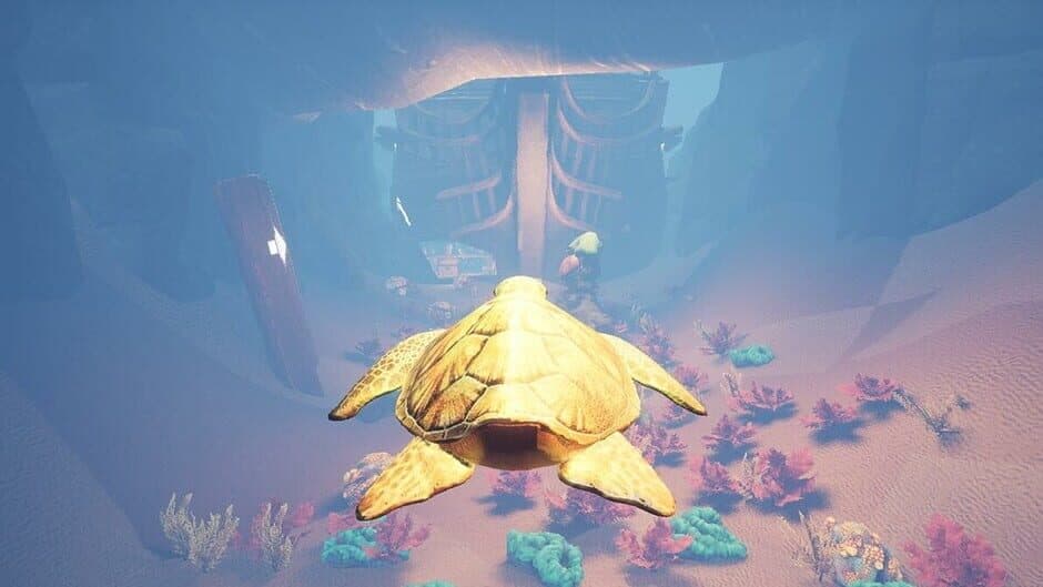 Скриншот 4 из Turtle Racer