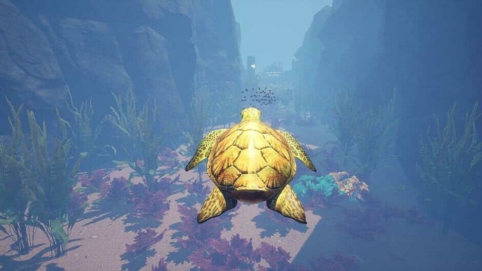 Скриншот 5 из Turtle Racer