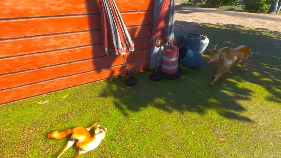 Скриншот 2 из Chill Fox