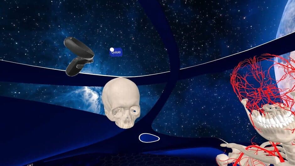 Скриншот 3 из Elementary Anatomy: With Story Mode