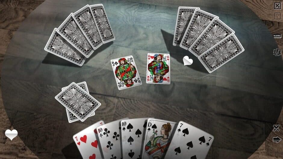 Скриншот 2 из Skat 3D Premium