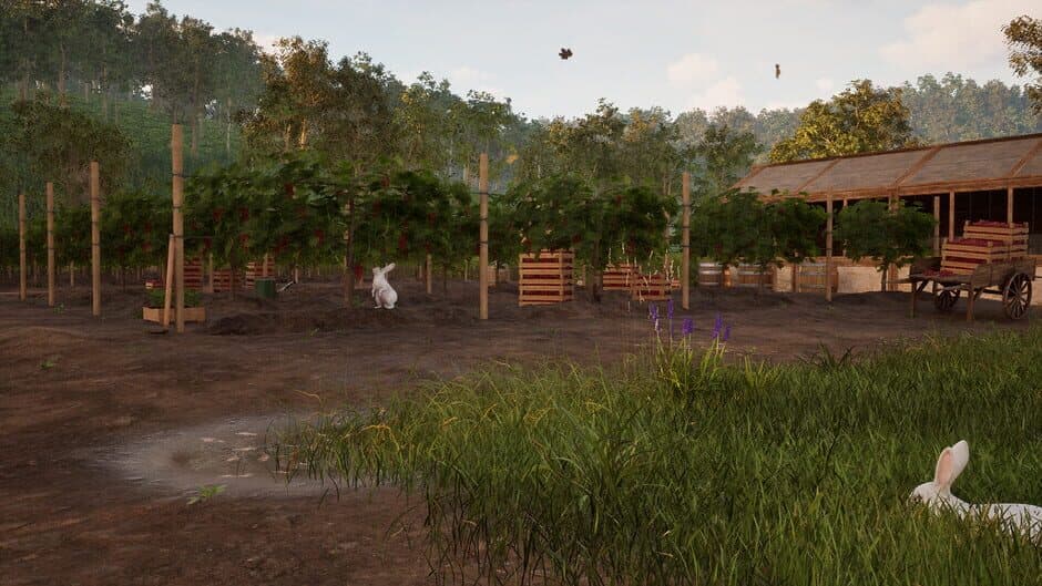 Скриншот 10 из Winemaker Simulator