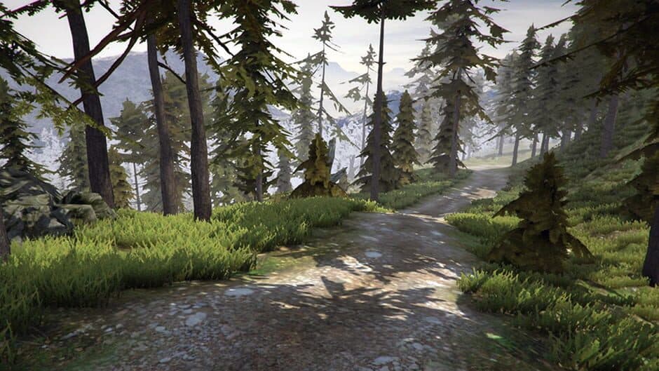 Скриншот 6 из MTB Downhill Simulator