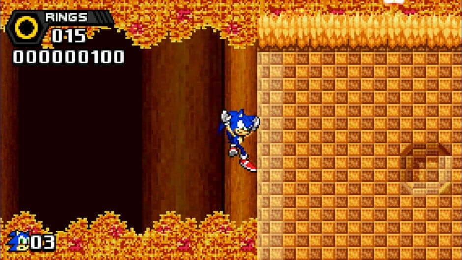 Скриншот 4 из Sonic Seasons