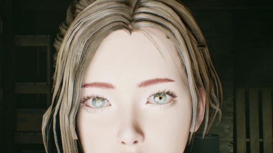 Скриншот 11 из The Evelyn Game