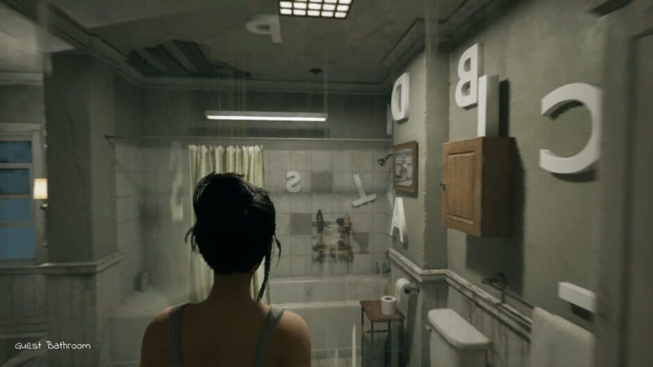 Скриншот 5 из The Evelyn Game